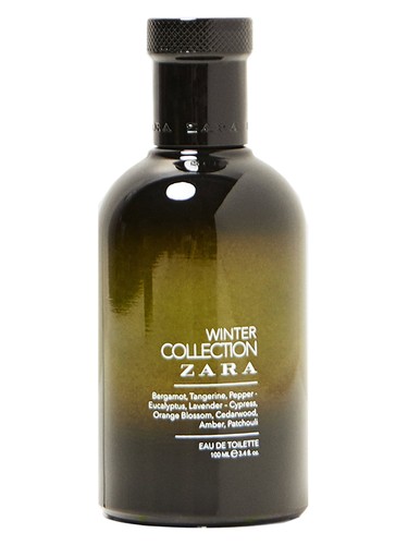 Winter Collection Zara pro muže 
