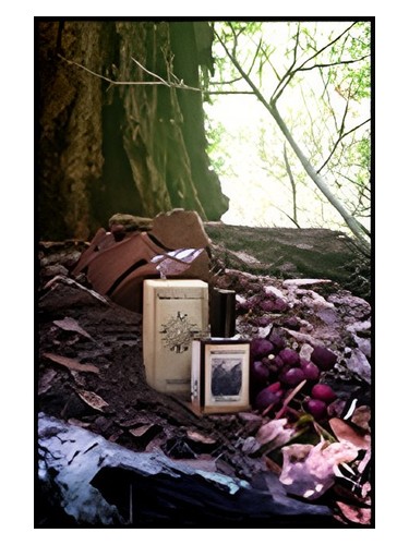 perfume Black Forest Solstice Scents pro ženy a muže 