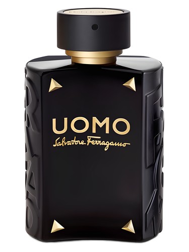 Amazon.com: FERRAGAMO Uomo Ferragamo Eau de Toilette Pour