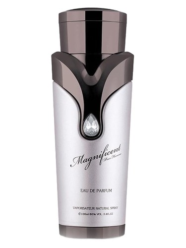Magnificent pour homme