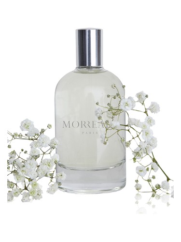 Morreale Pour Homme Morreale Paris pro muže 