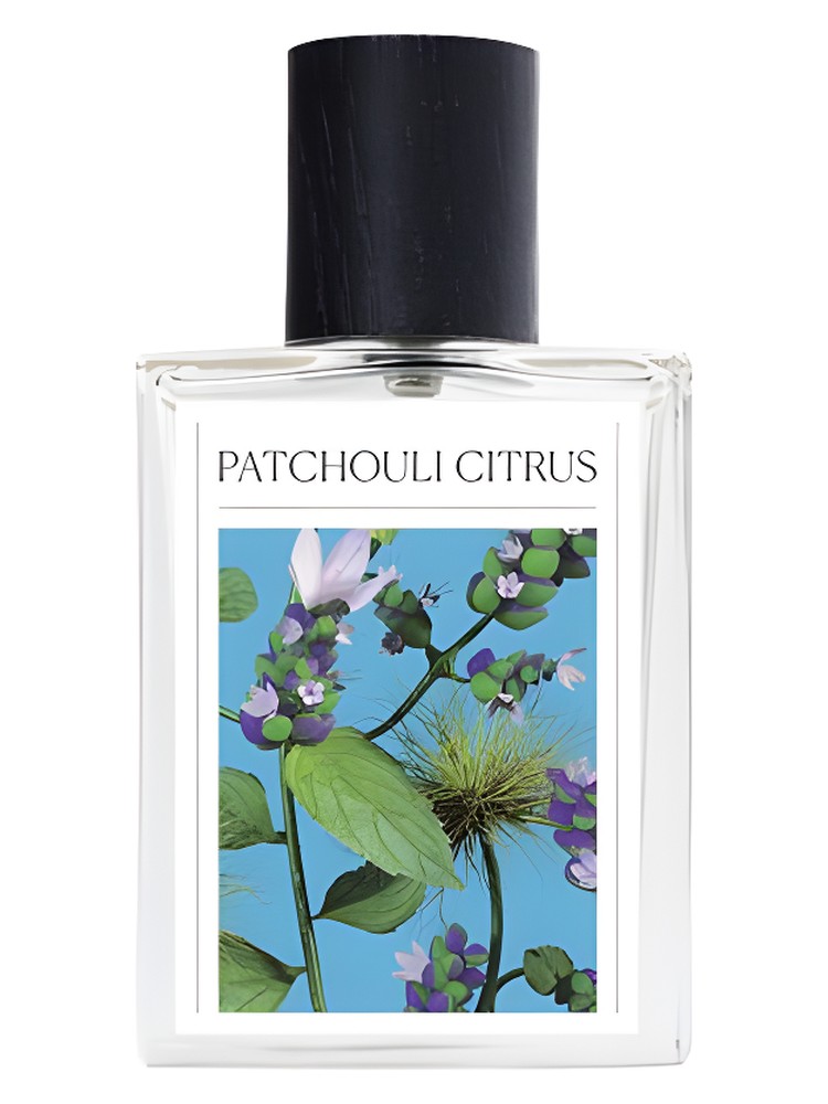 Patchouli Citrus The 7 Virtues perfume - a fragrance for women and men 2018