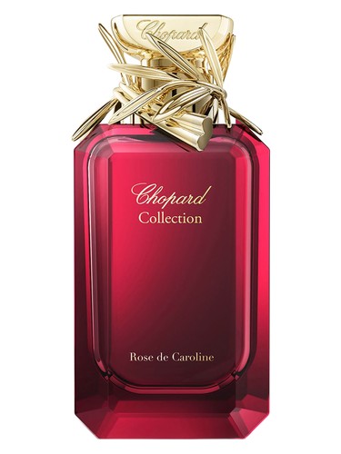 Rose de Caroline