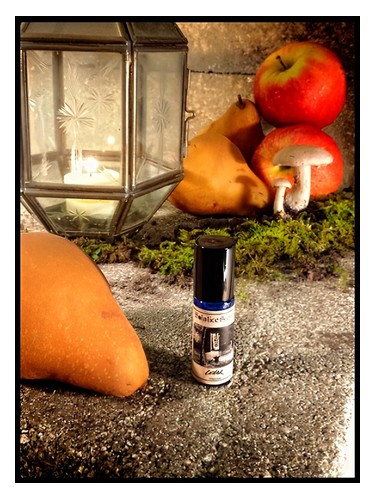 Cellar Solstice Scents pro ženy a muže