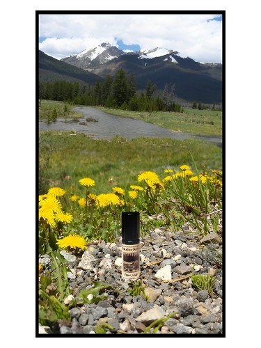 perfume Hidden Lodge Solstice Scents ユニセックス