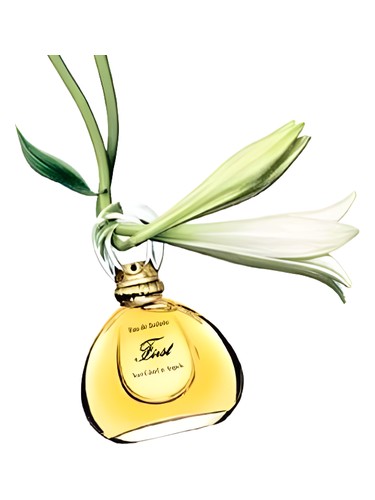 First Jasmin de Chine Van Cleef &amp; Arpels pro ženy 