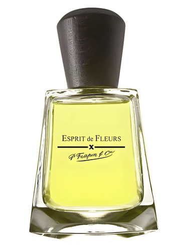 Esprit de Fleurs Frapin pro ženy 