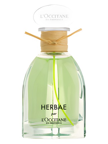 L'Occitane Herbae L'Eau Eau 1.6 oz - Walmart.com