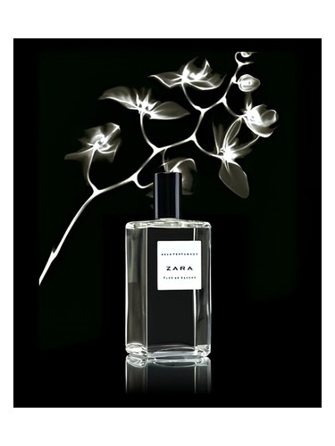 Flor de Azahar Zara pro ženy 