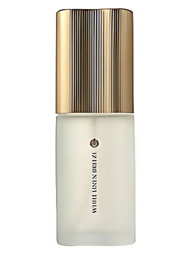 White Linen Breeze Estée Lauder pro ženy