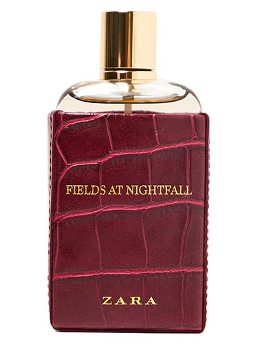 Fields at Nightfall 2018 Zara pro ženy 