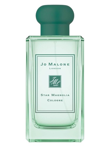 Star Magnolia Cologne 2019