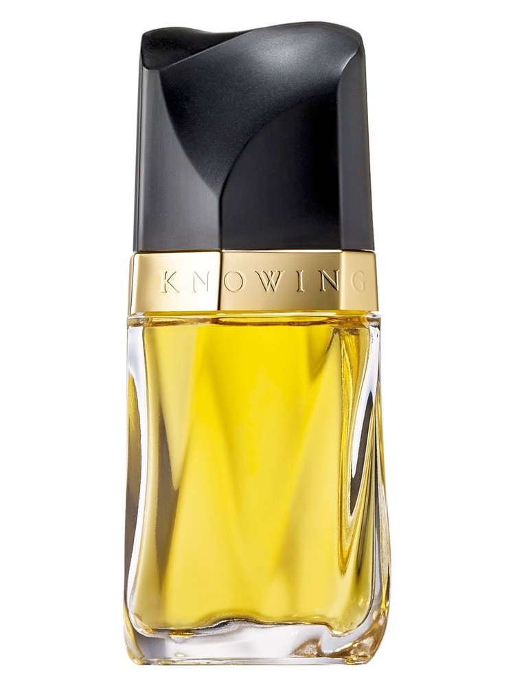 Knowing Estée Lauder perfume - a fragrance for women 1988