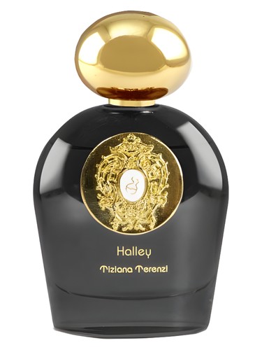 tiziana-terenzi-halley-comete-