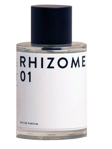 Rhizome 01