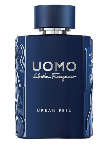 Uomo Salvatore Ferragamo Urban Feel Salvatore Ferragamo pro muže 