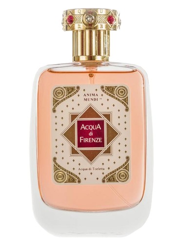 Anima Mundi Acqua di Firenze pro ženy a muže 