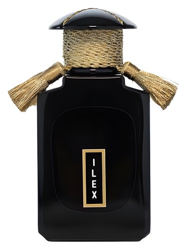 Ilex Cultus Artem pro ženy a muže