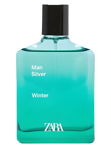 Man silver winter
