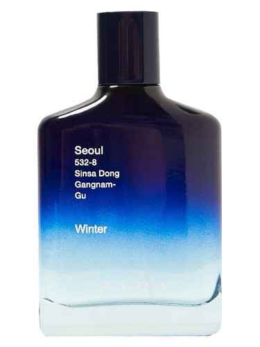 Seoul 532-8 Sinsa Dong Gangnam-Gu Winter Zara pro muže 