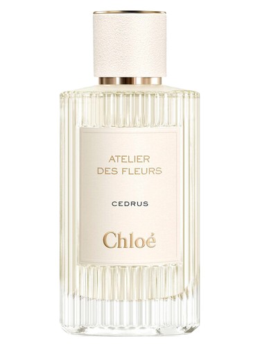 Chloé CEDRUS 香水　50ml Cedrus Chloé perfume - a fragrance for women and men 2019