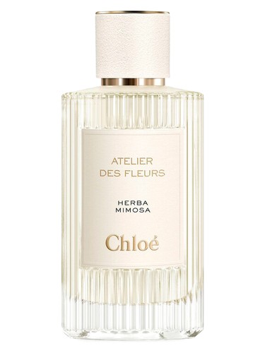 Herba Mimosa Chloé perfume - a fragrance for women and men 2019