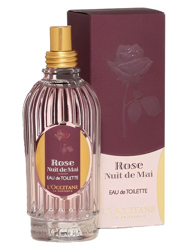 Rose nuit de mai