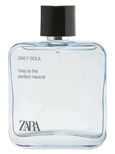 Grey Soul Zara pro muže