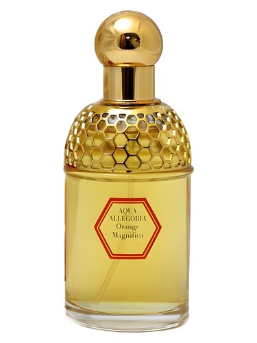 Aqua allegoria orange magnifica