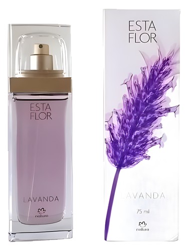 Esta Flor Lavanda