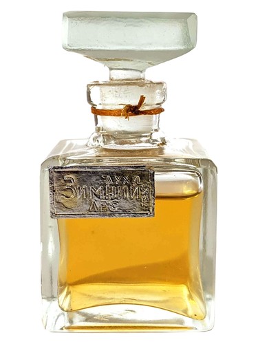 Зимний лес (Winter Forest) Северное сияние pro ženy