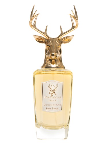 perfume Blom Bukett Pana Dora pro ženy a muže 