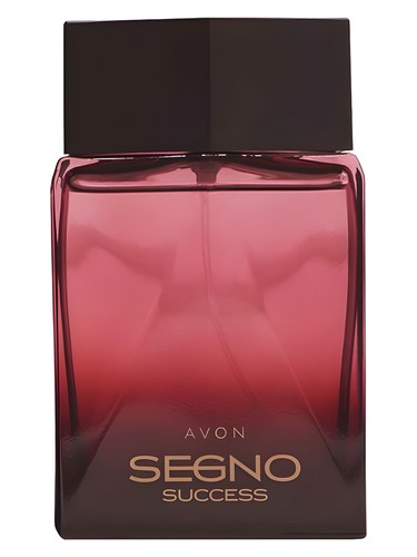 Segno Success Avon pro muže 