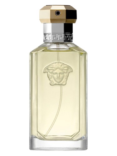 The Dreamer Versace pro muže 