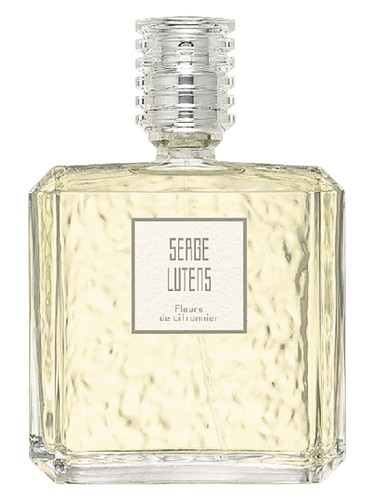 Fleurs de citronnier