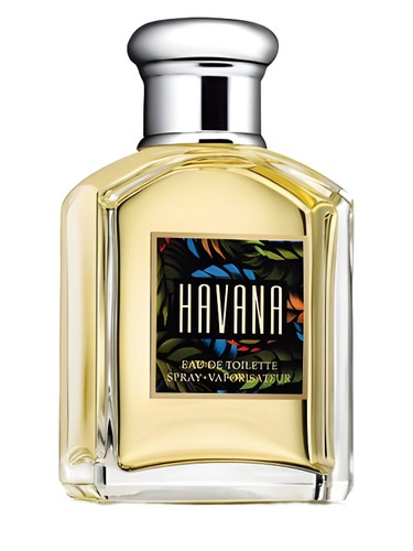 Havana Aramis cologne - a fragrance for men 1994