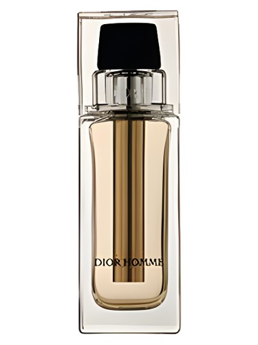 Dior Homme Voyage Dior pro muže 
