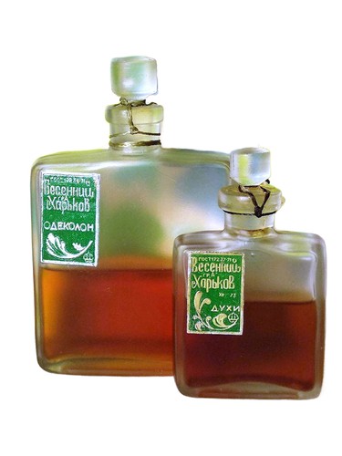 Весенний Харьков - Kharkov in Spring