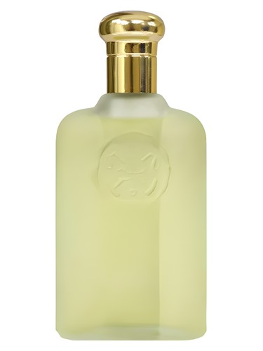 Play Polo Play pro muže