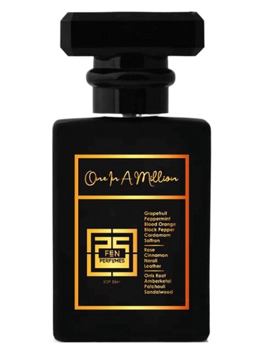 perfume One In A Million FEN Perfumes pro muže 