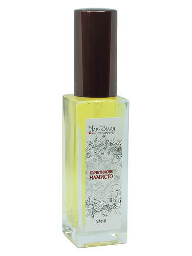 perfume Amber Necklace / Бурштинове намисто Char-Zillya pro ženy a muže 