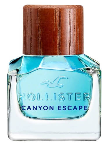 Hollister canyon escape man