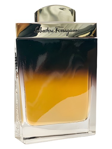 Salvatore Ferragamo Ferragamo Oud Salvatore Ferragamo pro muže 