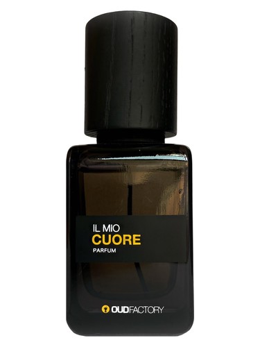 perfume Il Mio Cuore Oud Factory pro ženy a muže 