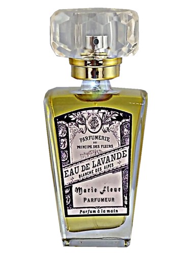 Eau de Lavander by Atelier Segall & Barutti