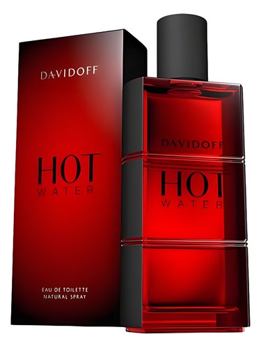Hot Water Davidoff pro muže 