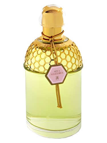 Aqua Allegoria Rosa Magnifica Guerlain pro ženy 