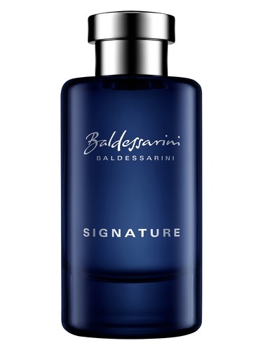 Signature Baldessarini pro muže 