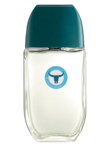 perfume Wild Country Outback Avon 男性用