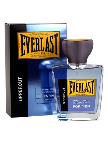 perfume Uppercut Everlast pro muže 